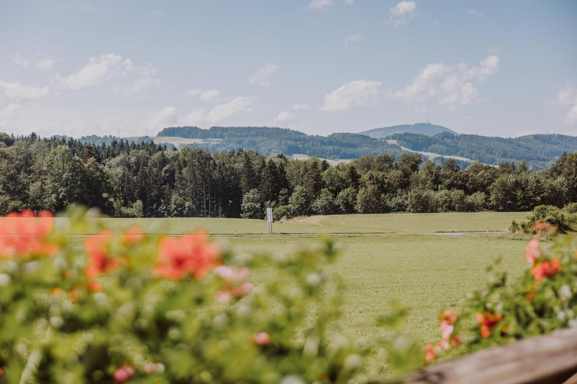 Landhotel Gschirnwirt オイゲンドルフ エクステリア 写真